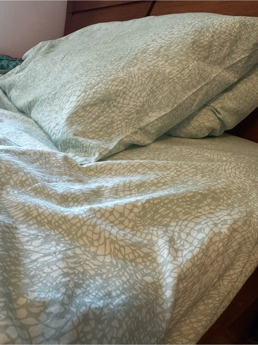5 Items Steve Madden Sage Green Textured Full / Queen size Sheet Set Pillow
